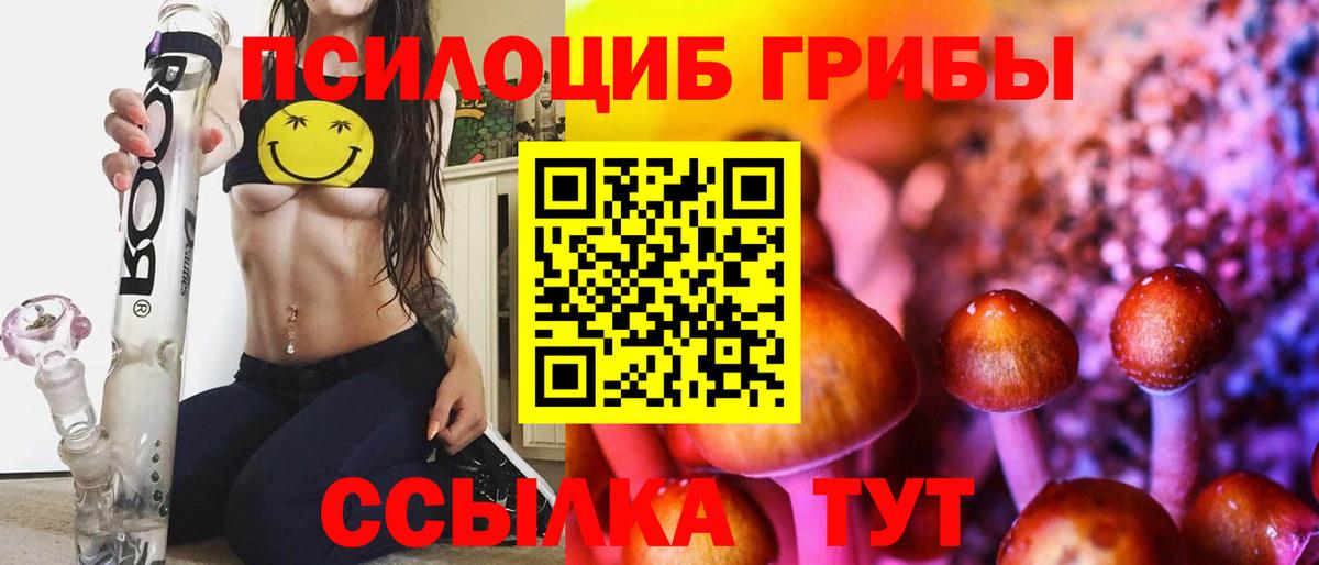 Псилоцибиновые грибы мухоморы  Псилоцибиновые грибы мухоморы  Евпатория  Вход с VPN 